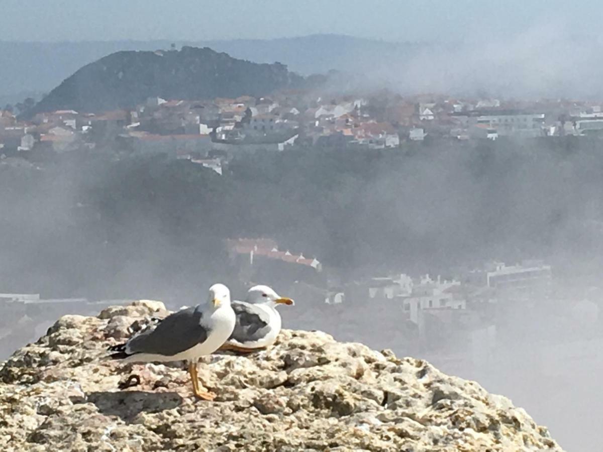 Sitio Ocean Views Daire Nazaré Dış mekan fotoğraf