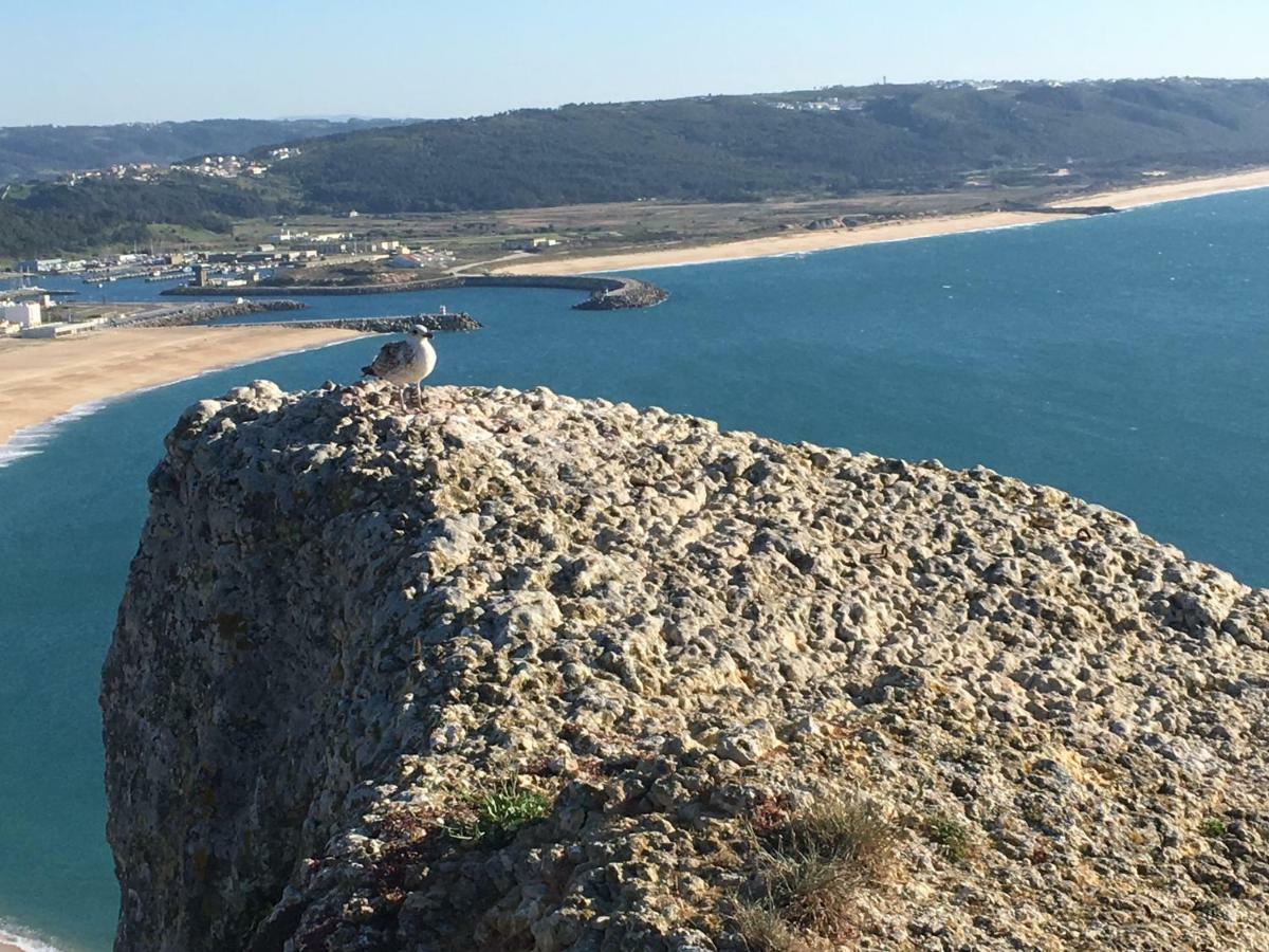 Sitio Ocean Views Daire Nazaré Dış mekan fotoğraf
